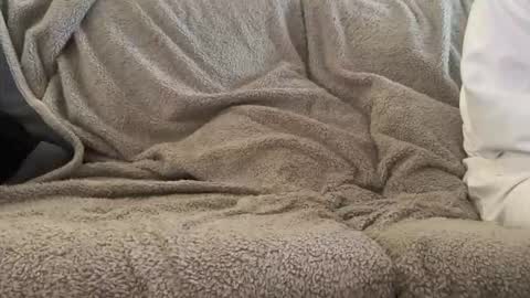 Juicy Tafutti online show from February 2026 09:47:02 PM