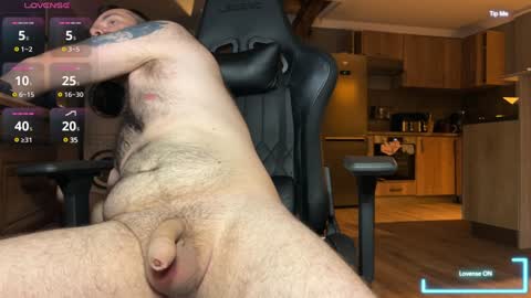 timnath_bear online show from December 2024 05:31:01 PM