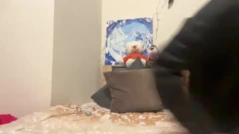 Snapshot of timveret chatting on December 2024 07:00:02 PM Wizard online show from December 2024 07:00:02 PM