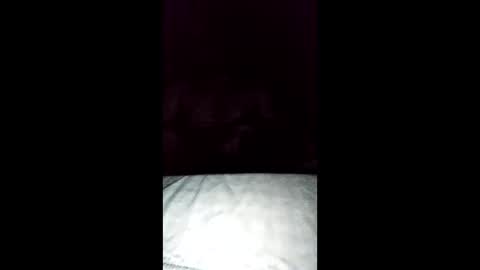 Snapshot of tiqueb69 chatting on February 2026 07:34:02 AM tiqueb69 online show from February 2026 07:34:02 AM