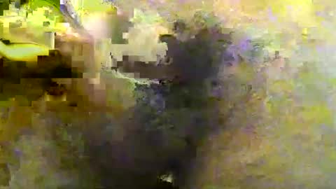 Tirius Barkhan online show from November 2025 06:45:02 PM