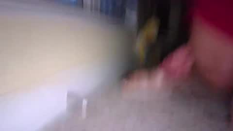 tj526316275 online show from January 2025 12:19:02 PM