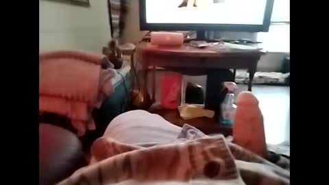 Snapshot of tjllagwbggrr chatting on January 2026 07:28:02 PM tjllagwbggrr online show from January 2026 07:28:02 PM