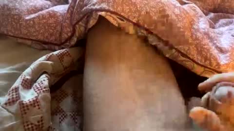 Snapshot of tliverth chatting on November 2025 07:11:02 AM tliverth online show from November 2025 07:11:02 AM