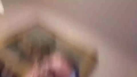 tmsvdc1 online show from December 2024 08:29:01 AM