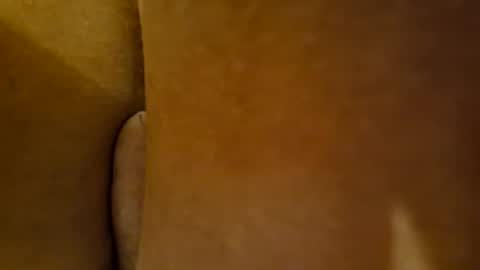 Snapshot of toadinhole chatting on December 2024 03:55:01 PM Toady online show from December 2024 03:55:01 PM