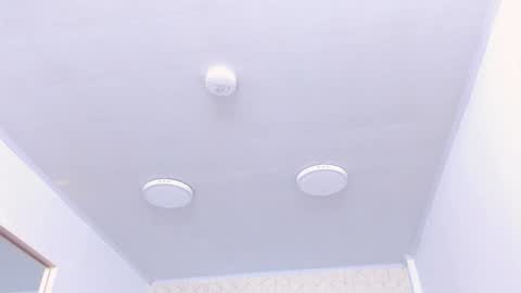 Tokyo  online show from December 2024 01:10:02 PM