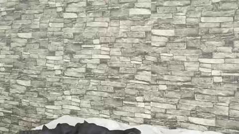 Tokyo online show from January 2026 07:39:01 PM