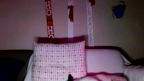 Snapshot of tomas_gerauld chatting on December 2024 03:14:02 AM tomas gerauld. make me happy with 10000 tokens online show from December 2024 03:14:02 AM