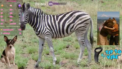 Tomaz62a online show from November 2025 07:38:01 PM