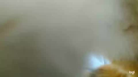 Snapshot of tomboyblue chatting on February 2025 03:42:02 PM Blue online show from February 2025 03:42:02 PM