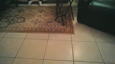 Snapshot of tomcatsawyer chatting on March 2026 07:02:02 AM sirmuggsalot online show from March 2026 07:02:02 AM