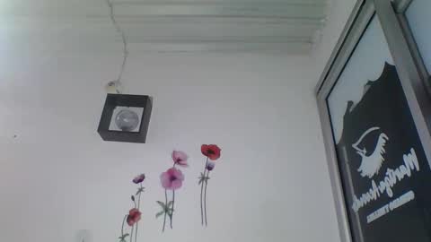 Snapshot of tomm_kors chatting on September 2025 04:12:02 AM tomm online show from September 2025 04:12:02 AM