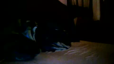 Snapshot of tommy_mackz chatting on March 2026 05:08:02 AM tommy mackz online show from March 2026 05:08:02 AM