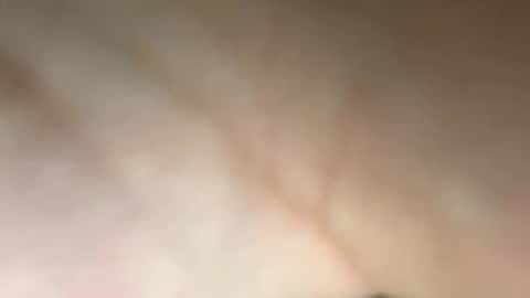 Snapshot of tomusa2 chatting on September 2025 04:50:02 PM tomusa2 online show from September 2025 04:50:02 PM