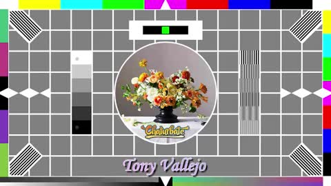 Tony V online show from October 2025 09:54:01 AM