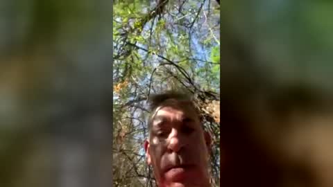 Tony Dotato online show from August 2026 03:21:02 PM