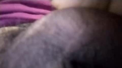 torresabel762 online show from April 2026 03:56:01 PM