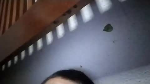 torresabel762 online show from April 2026 10:14:02 AM