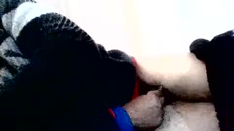 torresurionasantos online show from February 2026 05:22:02 PM