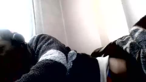 torresurionasantos online show from February 2026 01:05:02 PM