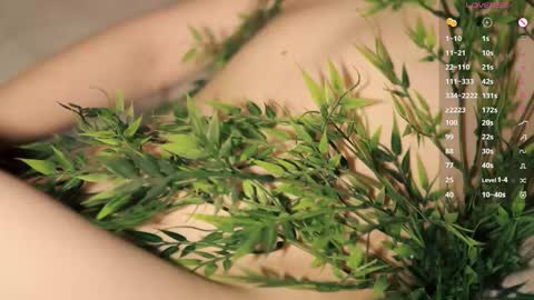 Toshi online show from January 2026 01:04:01 PM