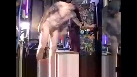 Snapshot of touchofclass90 chatting on January 2025 05:08:02 AM touchofclass90 online show from January 2025 05:08:02 AM