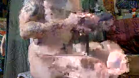 Snapshot of touchofclass90 chatting on March 2025 10:48:01 AM touchofclass90 online show from March 2025 10:48:01 AM