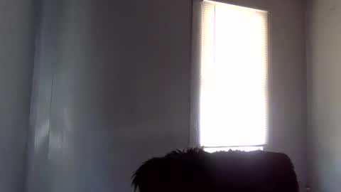 Snapshot of toxicanikki chatting on February 2026 08:36:01 PM toxicanikki online show from February 2026 08:36:01 PM