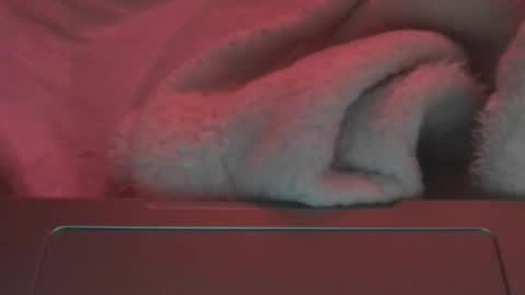 Snapshot of toxicanikki chatting on February 2026 08:17:02 PM toxicanikki online show from February 2026 08:17:02 PM