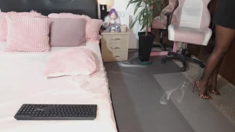 Traci online show from December 2024 11:07:02 AM