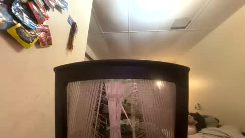 tracy227 online show from November 2025 10:41:02 PM