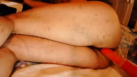 traveller313 online show from May 2026 08:36:02 PM