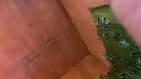 Snapshot of trebz_01 chatting on November 2025 07:58:01 AM trebz_01 online show from November 2025 07:58:01 AM