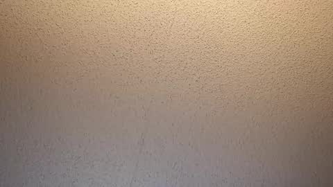 treedude303720 online show from October 2025 09:43:02 AM