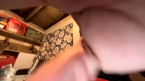 trees559 online show from February 2026 06:56:01 AM