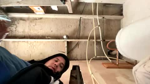 trees559 online show from March 2026 04:47:02 PM