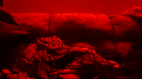 tretrix5588 online show from January 2025 10:51:01 AM