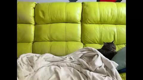 Ramiro online show from April 2026 11:41:01 AM