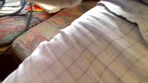 Snapshot of trobelle chatting on April 2026 08:56:02 AM trobelle online show from April 2026 08:56:02 AM