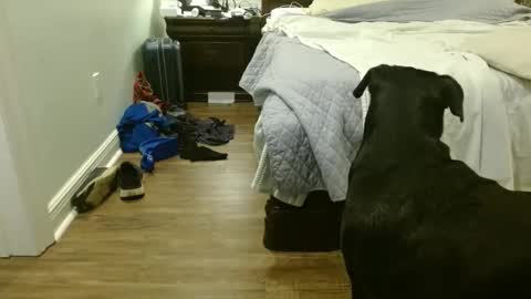 Snapshot of troy1965 chatting on September 2025 04:39:02 AM troy1965 online show from September 2025 04:39:02 AM