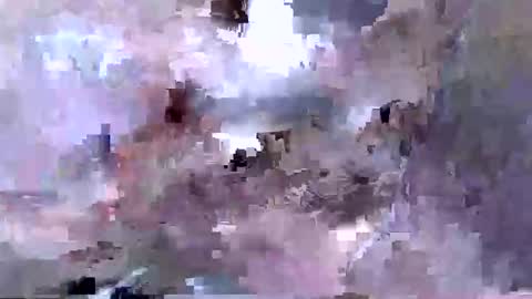 Snapshot of troy1965 chatting on April 2026 05:45:02 AM troy1965 online show from April 2026 05:45:02 AM