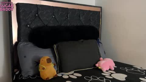 Snapshot of troye_lex chatting on October 2025 12:00:01 AM troye_lex online show from October 2025 12:00:01 AM