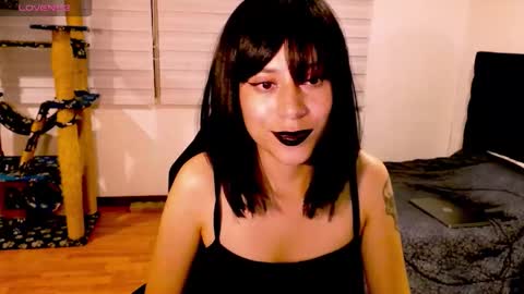 Snapshot of tryp666 chatting on November 2025 07:22:02 AM Cait online show from November 2025 07:22:02 AM