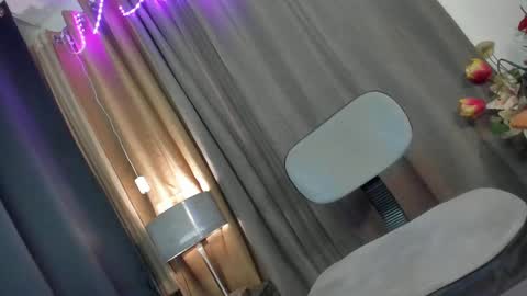 Snapshot of ts_chloexxx chatting on February 2025 12:29:02 PM Chloe online show from February 2025 12:29:02 PM