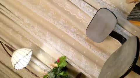 Snapshot of ts_chloexxx chatting on February 2026 10:44:02 AM Chloe online show from February 2026 10:44:02 AM