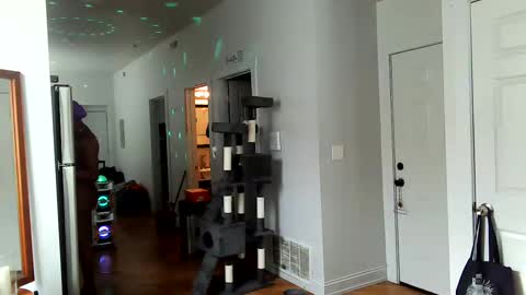 Snapshot of tsamberwhite007 chatting on February 2025 07:46:01 PM Amber White online show from February 2025 07:46:01 PM