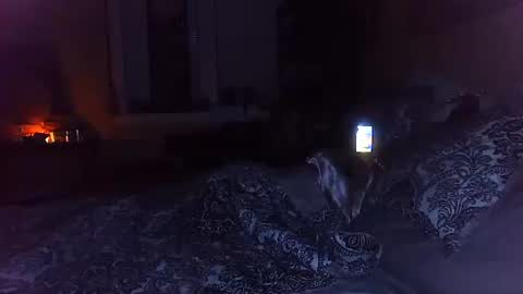 Snapshot of tsamberwhite007 chatting on October 2025 03:20:02 AM Amber White online show from October 2025 03:20:02 AM