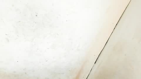 MA NI KA online show from January 2025 06:35:01 AM