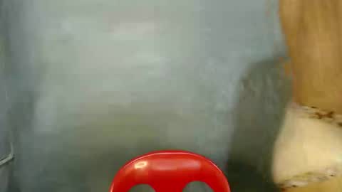 Snapshot of tspaulyn chatting on January 2026 05:54:02 AM Paulyn online show from January 2026 05:54:02 AM